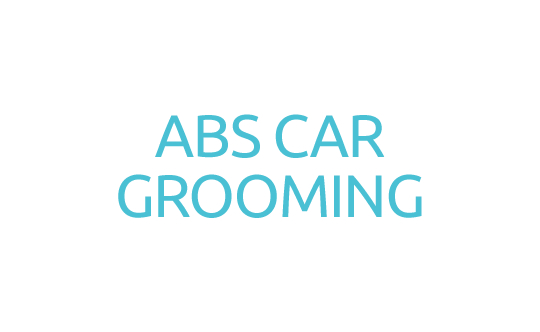 ABS Car Grooming